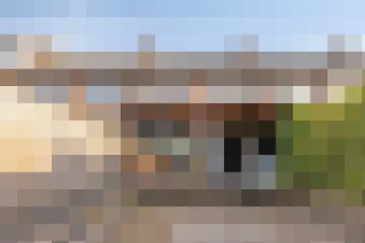 Leeuwerikstraat 7 Goor thumbnail 19