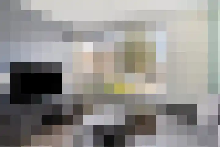 Leeuwerikstraat 7 Goor thumbnail 4