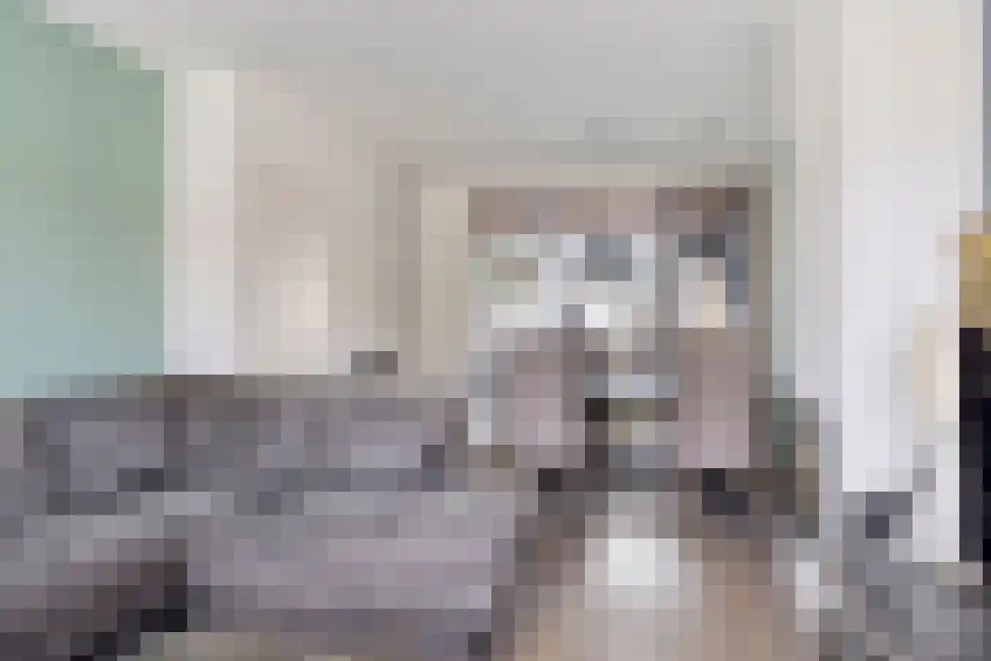 Leeuwerikstraat 7 Goor thumbnail 5