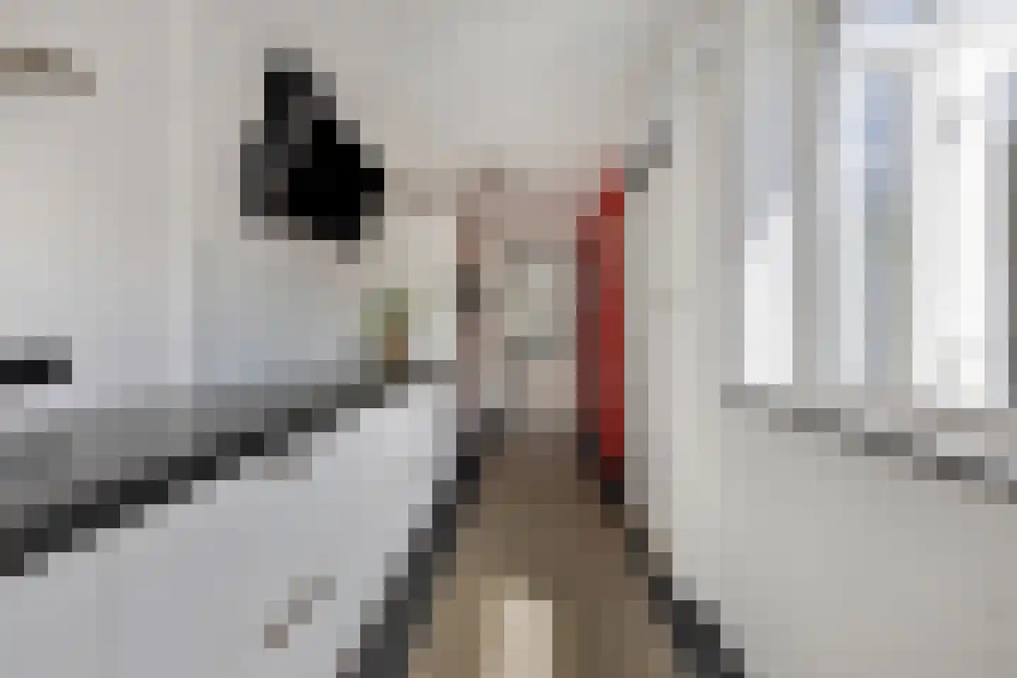 Leeuwerikstraat 75 Breda thumbnail 16