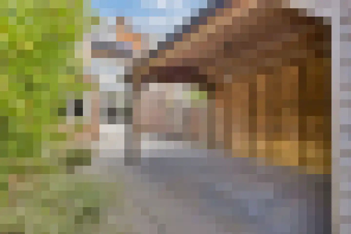 Leeuwerikstraat 75 Breda thumbnail 21