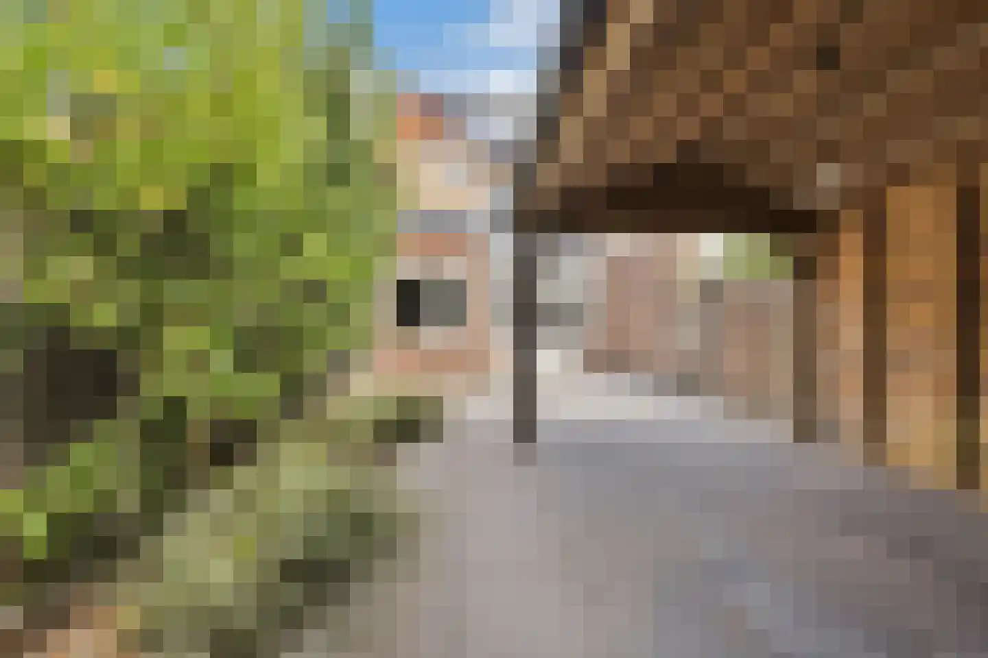 Leeuwerikstraat 75 Breda thumbnail 23