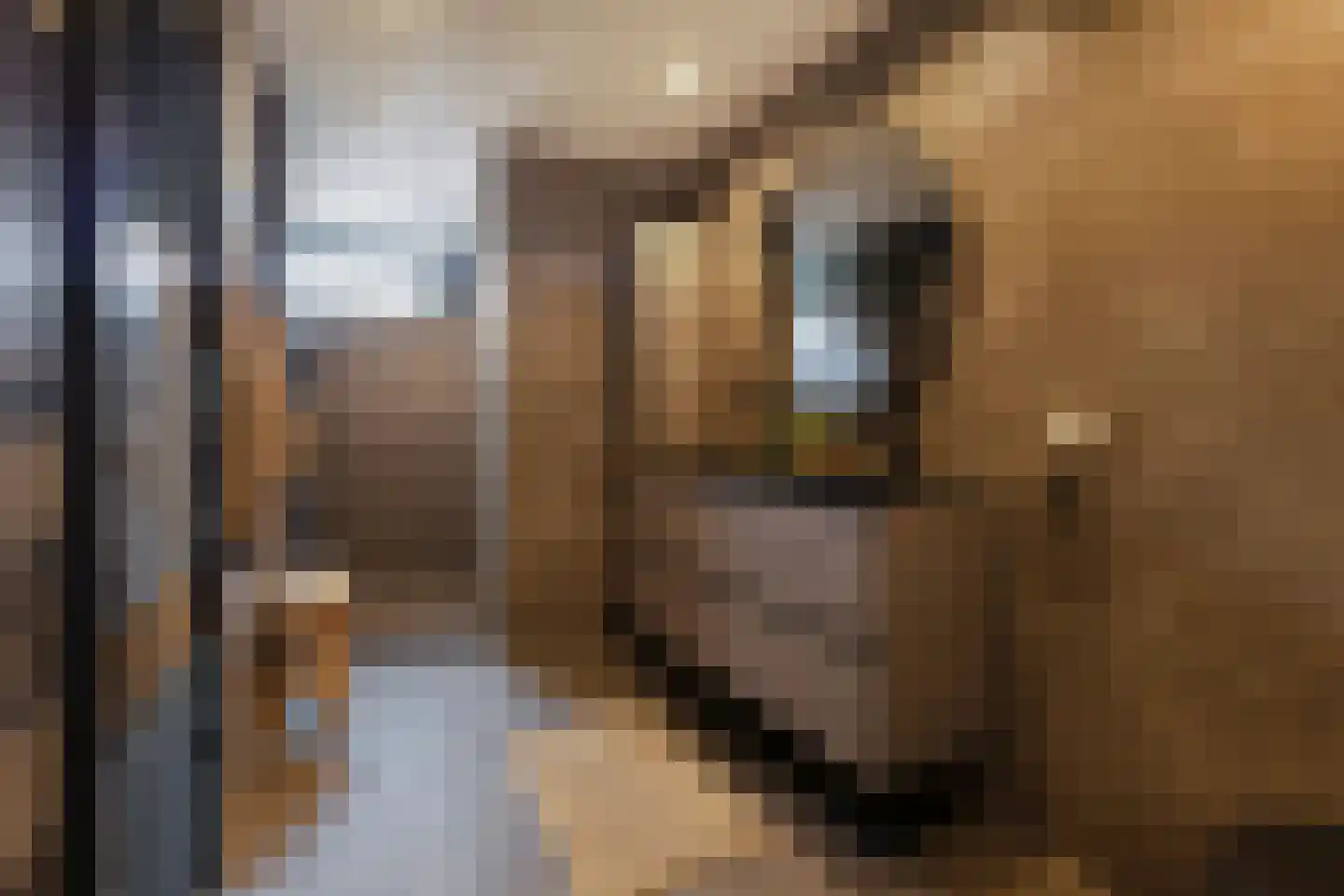 Leeuwerikstraat 75 Breda thumbnail 31