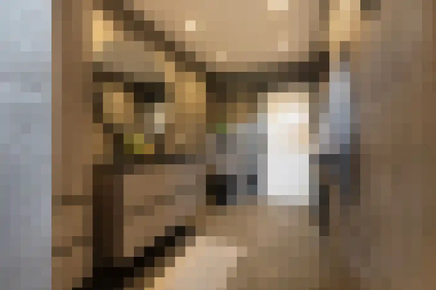 Leeuwerikstraat 75 Breda thumbnail 32