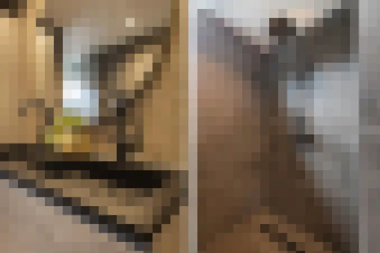 Leeuwerikstraat 75 Breda thumbnail 33