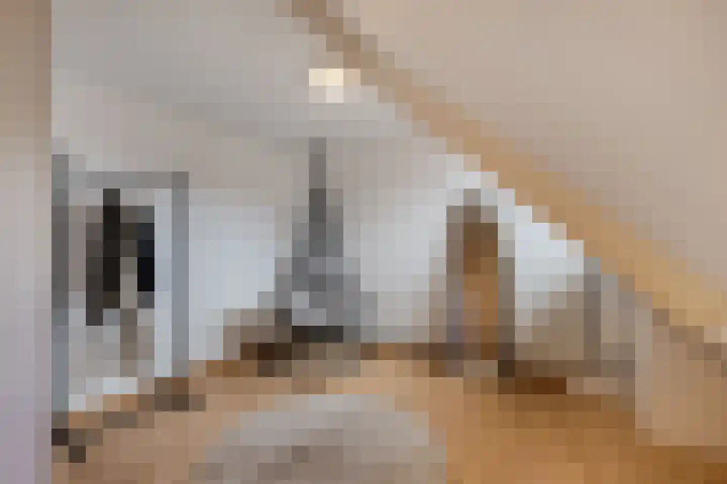 Leeuwerikstraat 75 Breda thumbnail 39