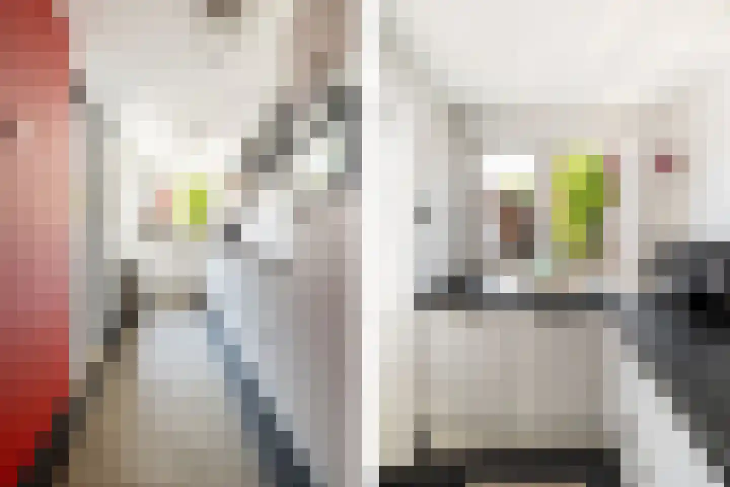 Leeuwerikstraat 75 Breda thumbnail 4