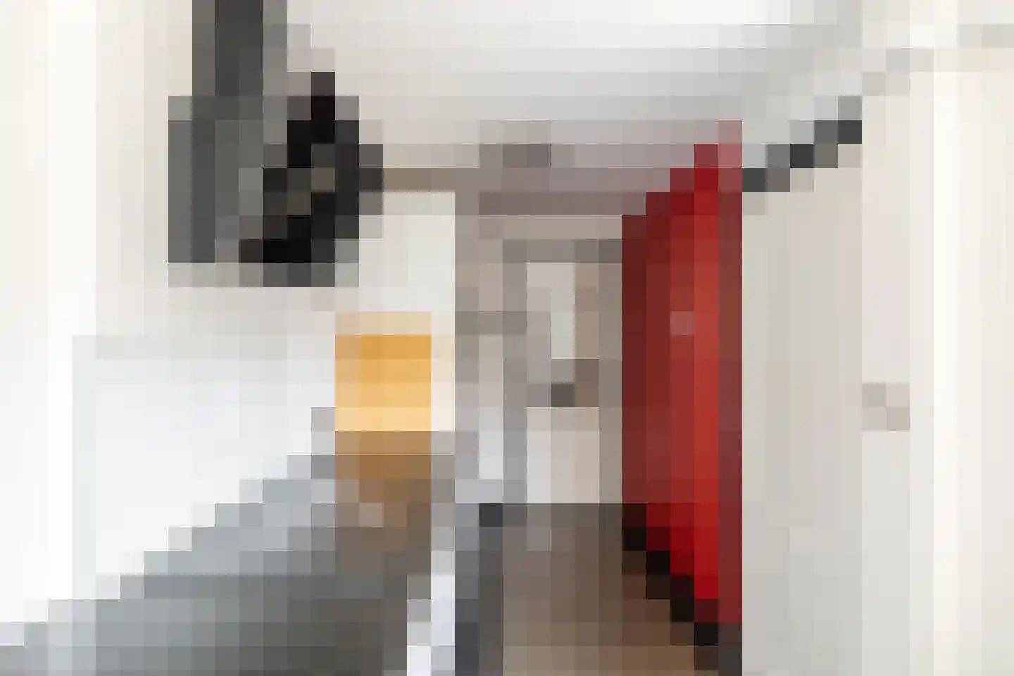Leeuwerikstraat 75 Breda thumbnail 5