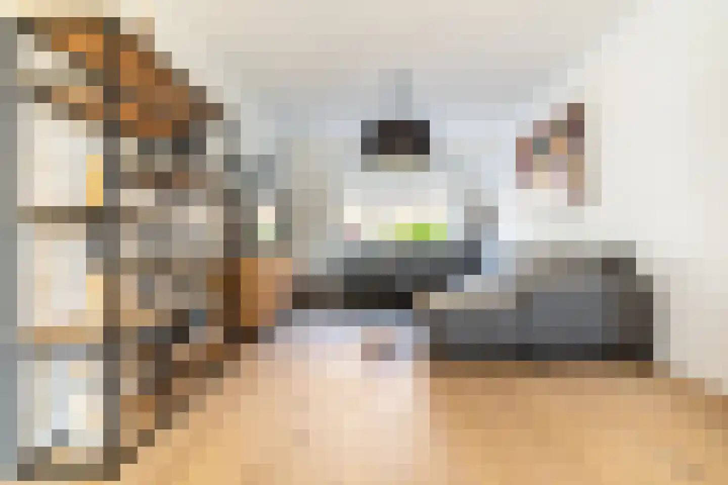 Leeuwerikstraat 75 Breda thumbnail 6