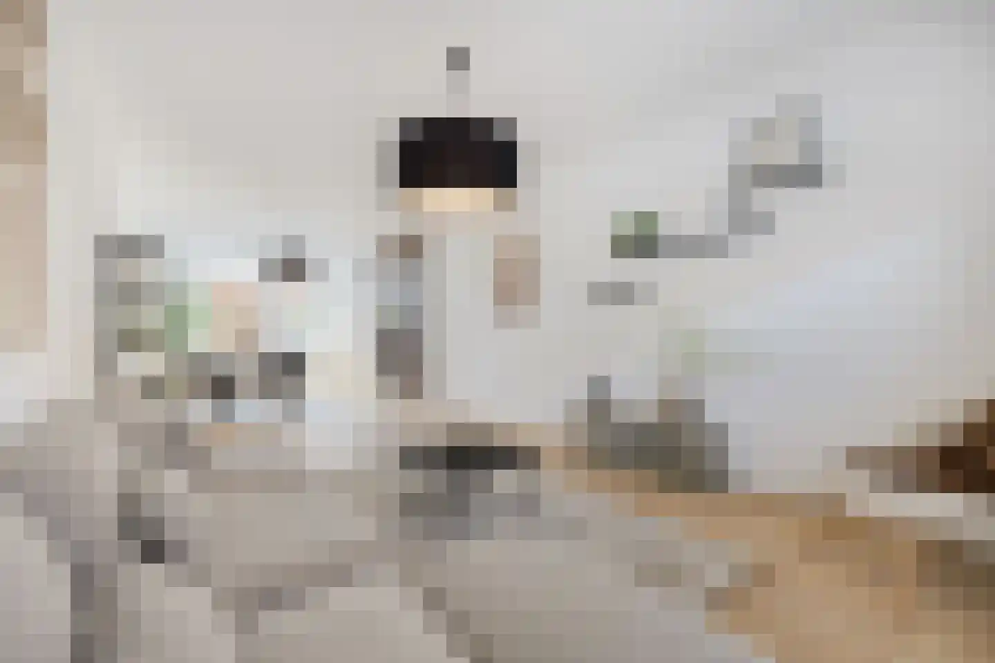 Leeuwerikstraat 75 Breda thumbnail 7