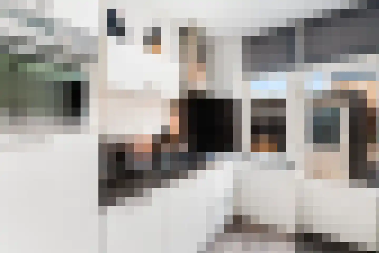Leeuwerikstraat 8 Alblasserdam thumbnail 13