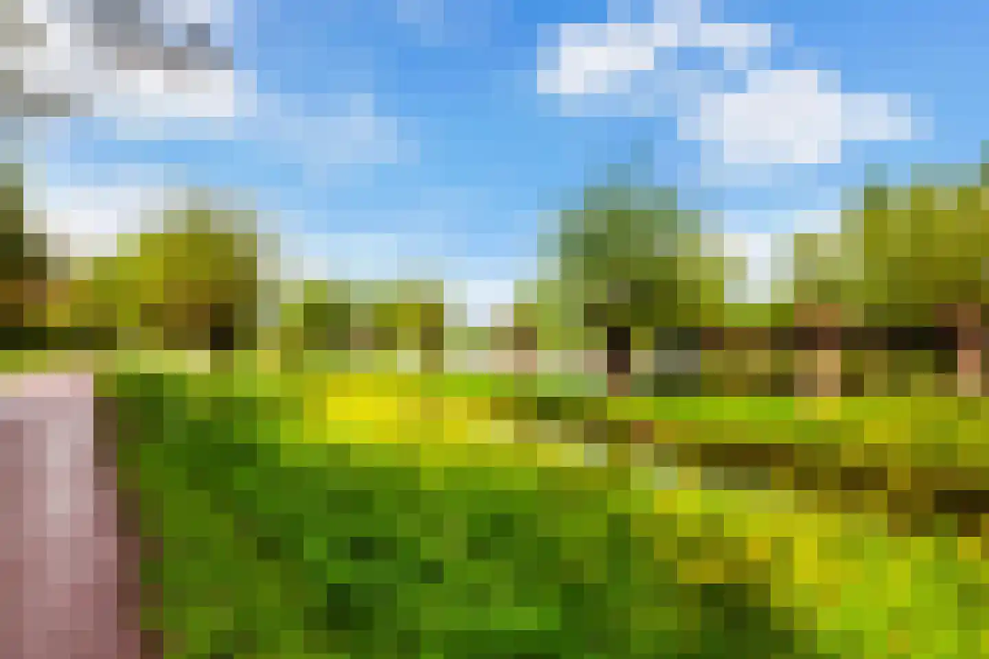 Leeuwerikstraat 8 Alblasserdam thumbnail 34