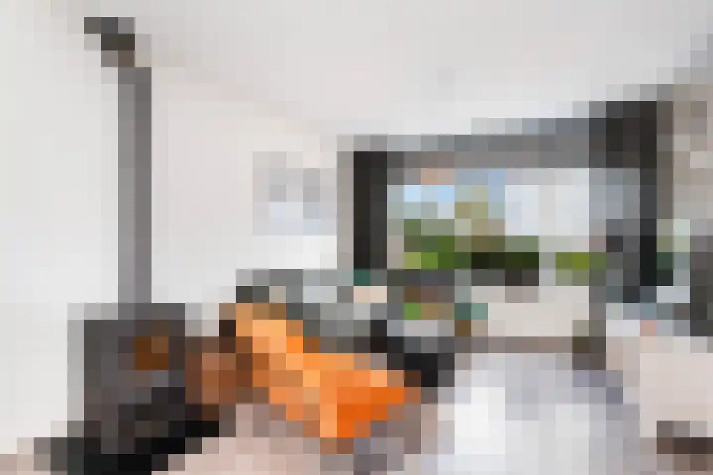 Leeuwerikstraat 8 Alblasserdam thumbnail 8