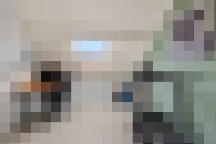 Leeuwerikstraat 8 Vianen thumbnail 39