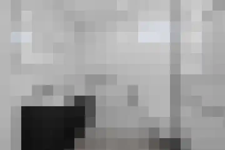Leeuwerikstraat 8 Vianen thumbnail 4