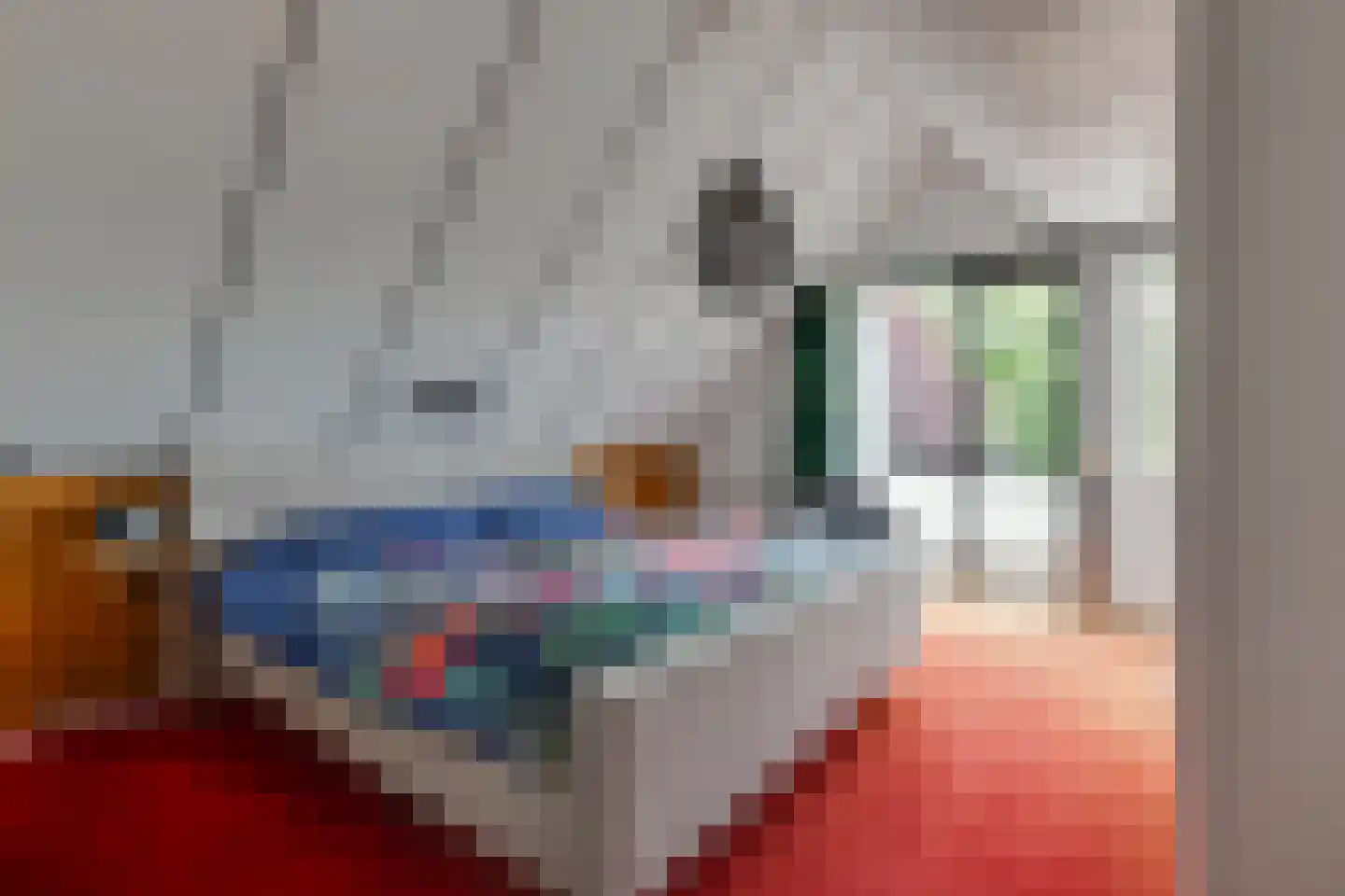 Leeuwerikstraat 83 Varsseveld thumbnail 18