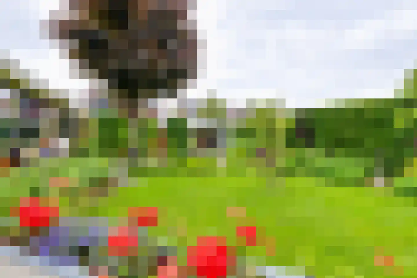 Leeuwerikstraat 83 Varsseveld thumbnail 32