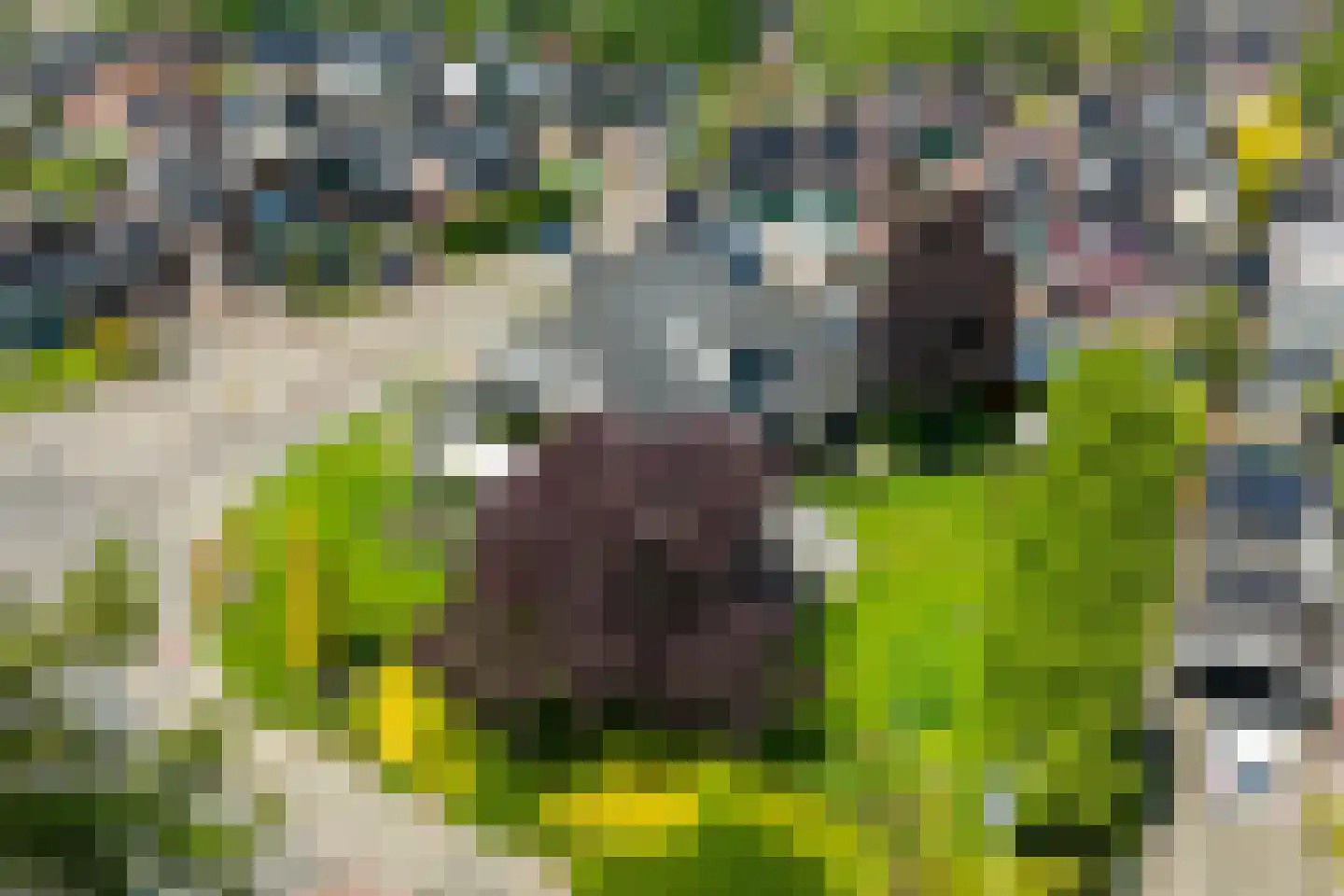 Leeuwerikstraat 83 Varsseveld thumbnail 5