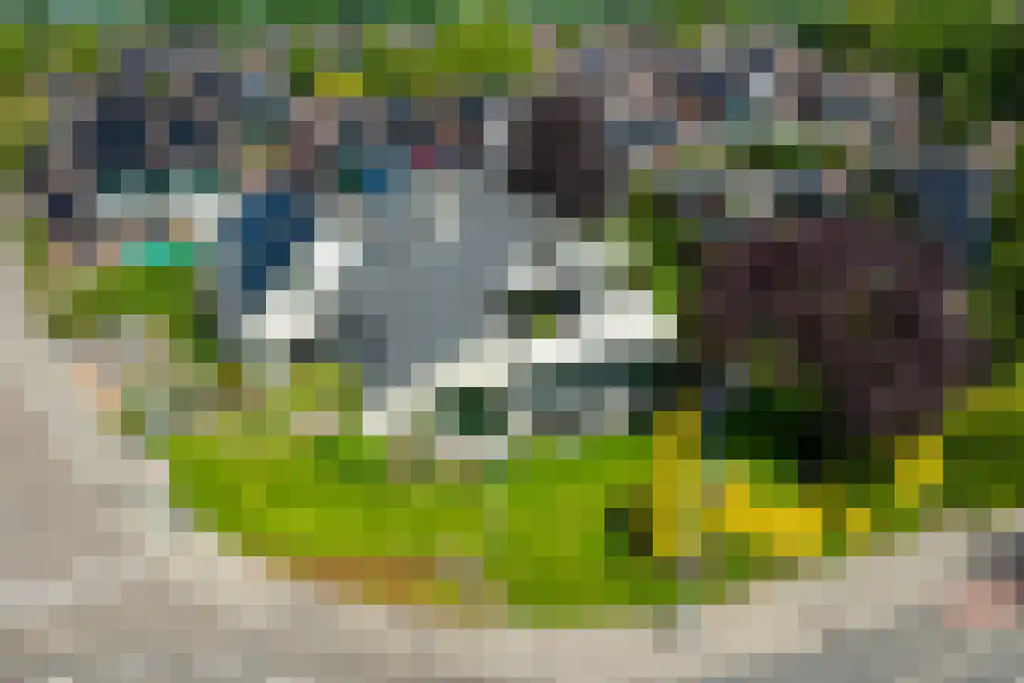 Leeuwerikstraat 83 Varsseveld thumbnail 6
