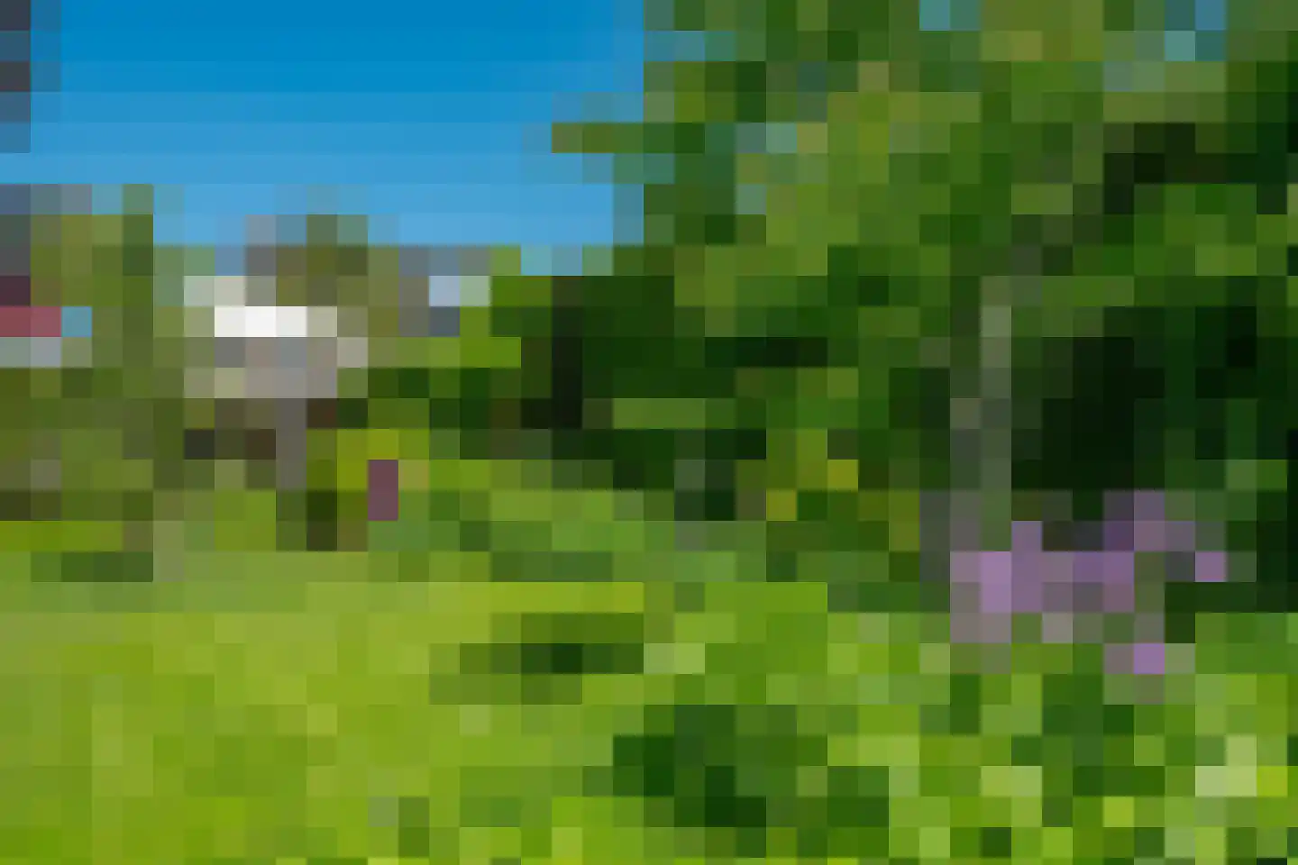 Leeuwerikstraat 83 Varsseveld thumbnail 79