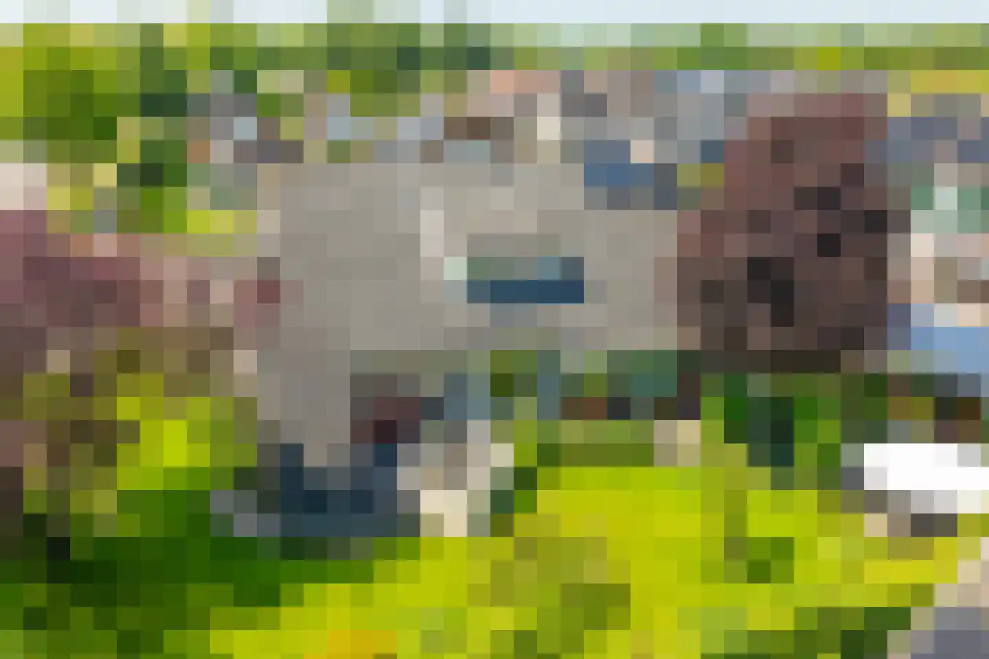 Leeuwerikstraat 83 Varsseveld thumbnail 8