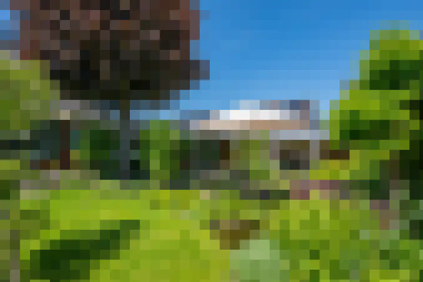 Leeuwerikstraat 83 Varsseveld thumbnail 82