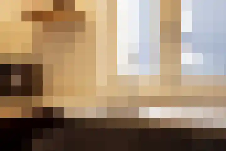 Leeuwerikstraat 86 Mill thumbnail 10