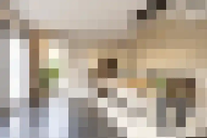 Leeuwerikstraat 86 Mill thumbnail 12