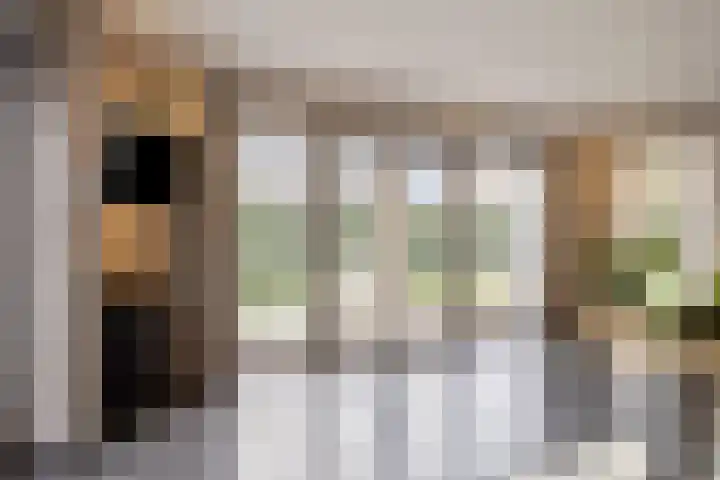 Leeuwerikstraat 86 Mill thumbnail 13