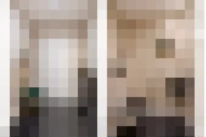 Leeuwerikstraat 86 Mill thumbnail 15
