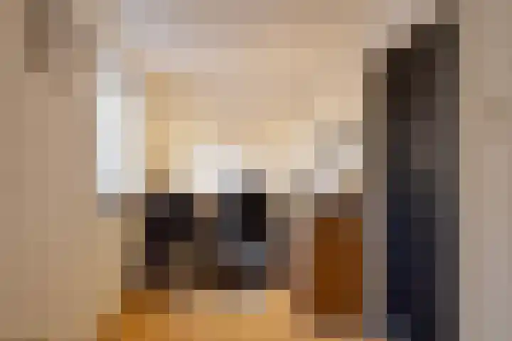 Leeuwerikstraat 86 Mill thumbnail 17