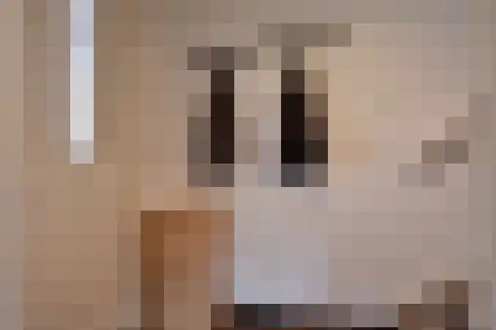 Leeuwerikstraat 86 Mill thumbnail 18