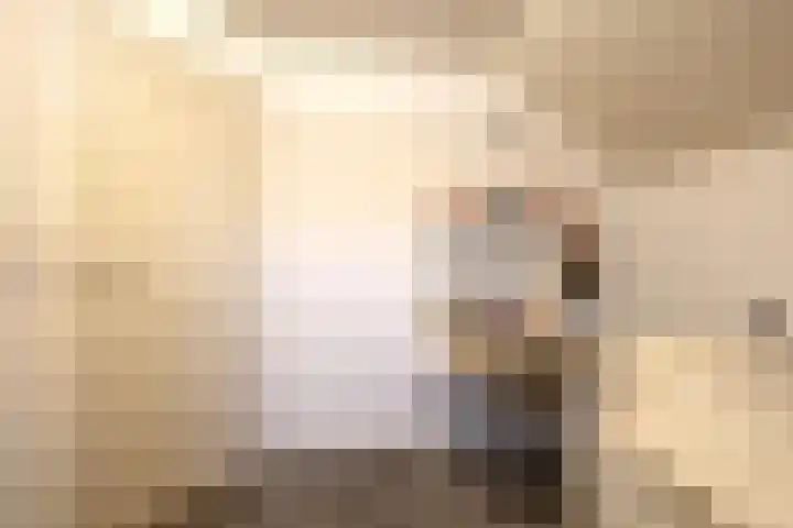 Leeuwerikstraat 86 Mill thumbnail 24