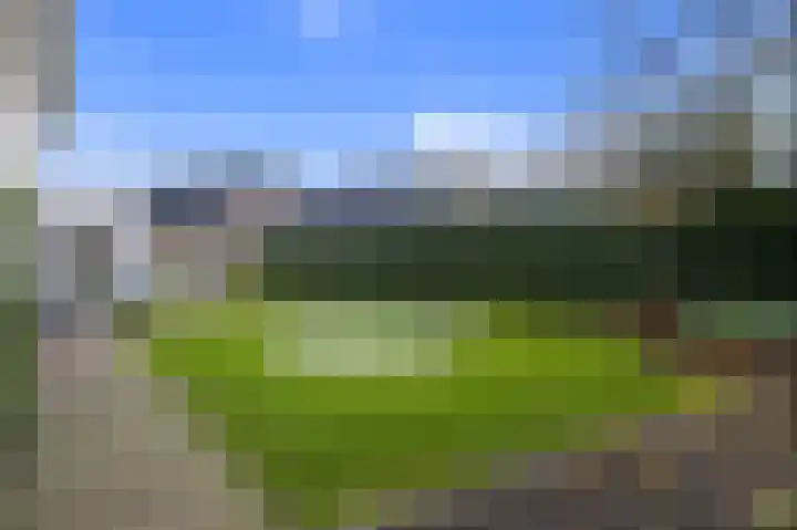Leeuwerikstraat 86 Mill thumbnail 30