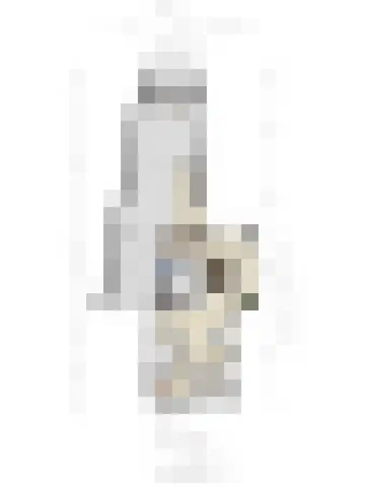Leeuwerikstraat 86 Mill thumbnail 42