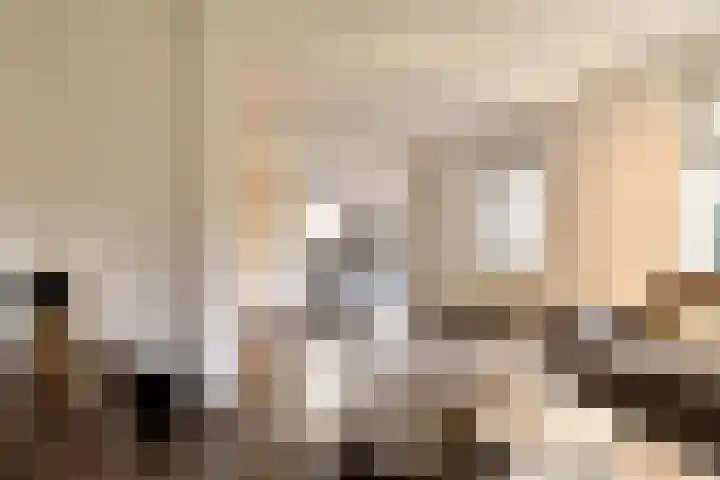 Leeuwerikstraat 86 Mill thumbnail 7