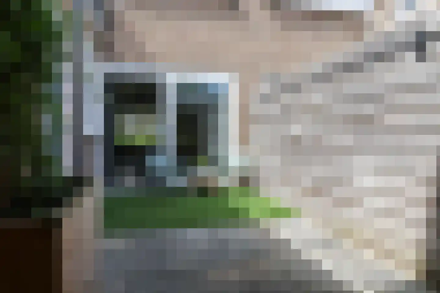 Leeuwerikstraat 99 Leeuwarden thumbnail 61