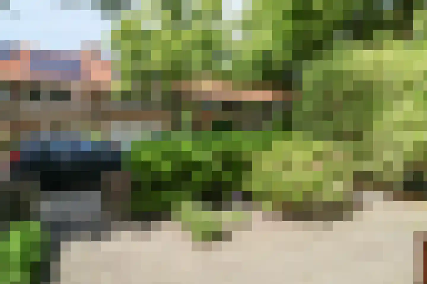 Leeuwerikstraat 99 Leeuwarden thumbnail 7