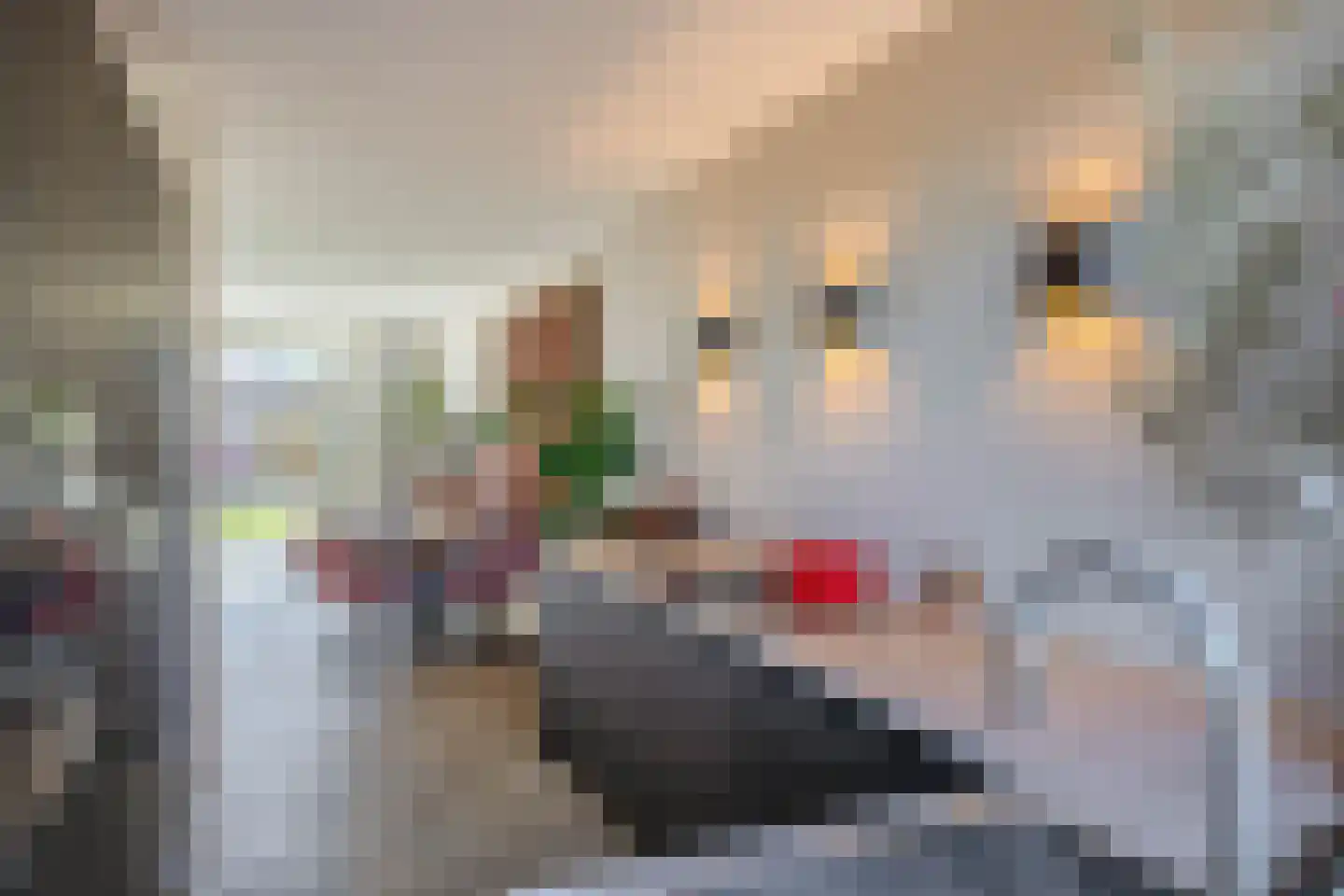 Leeuwerikstraat 99 Schoonhoven thumbnail 26
