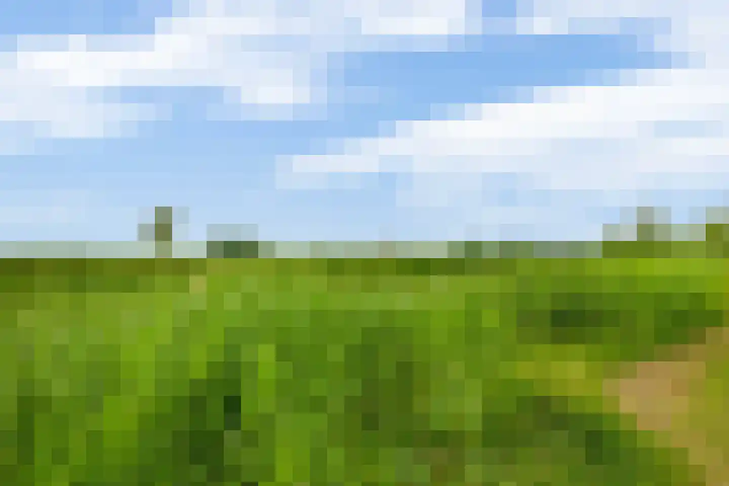 Leeuwerikstraat 99 Schoonhoven thumbnail 51