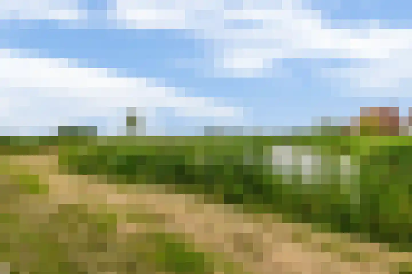 Leeuwerikstraat 99 Schoonhoven thumbnail 52