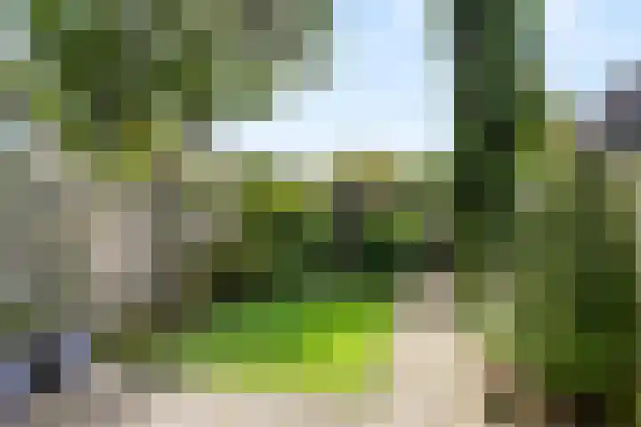 Leeuweriksweide 240 Wageningen thumbnail 11