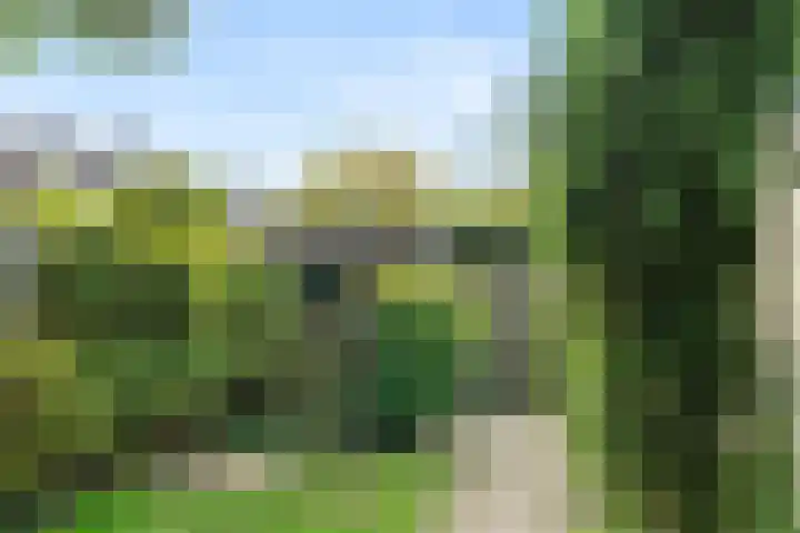 Leeuweriksweide 240 Wageningen thumbnail 12