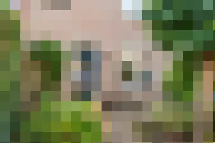 Leeuweriksweide 240 Wageningen thumbnail 6