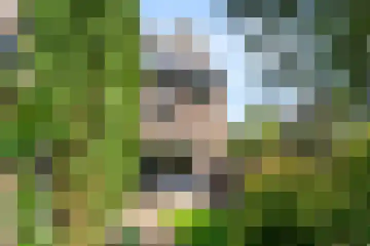 Leeuweriksweide 240 Wageningen thumbnail 9