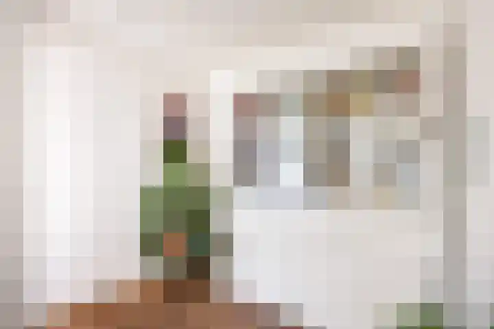 Leeuwerikweg 15 Paterswolde thumbnail 18