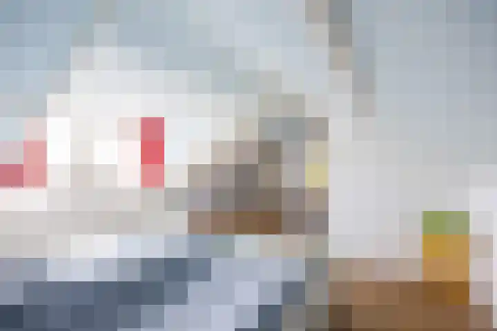 Leeuwerikweg 15 Paterswolde thumbnail 38