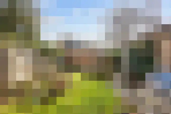 Leeuwerikweg 15 Paterswolde thumbnail 40