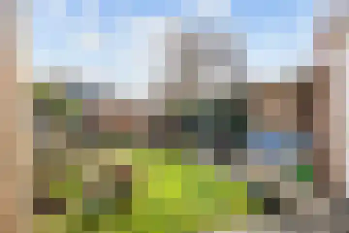 Leeuwerikweg 15 Paterswolde thumbnail 41