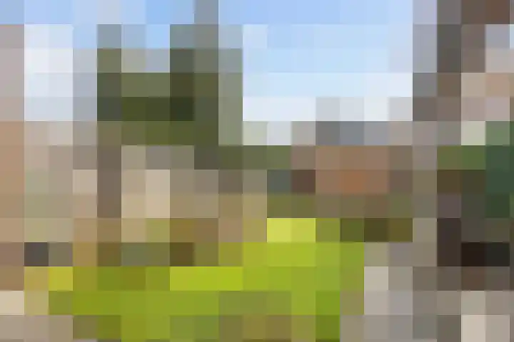 Leeuwerikweg 15 Paterswolde thumbnail 43